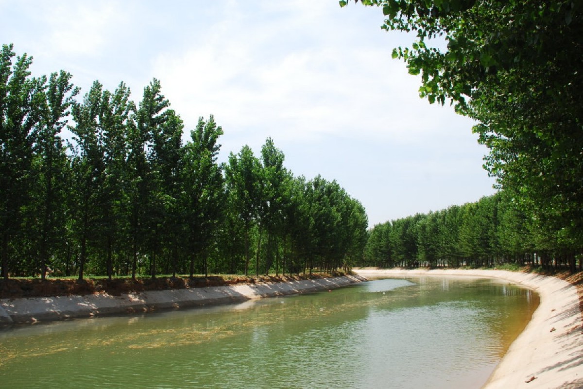 竹络坝灌区节水改造项目