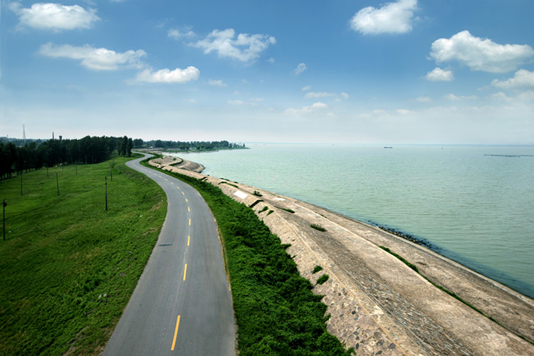 洪金灌区节水改造项目